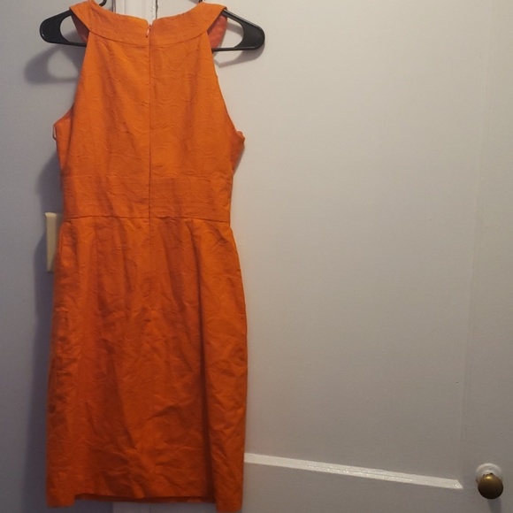 Orange muse dress - Picture 4 of 4